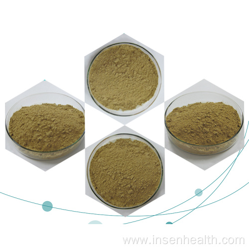 Cyanotis Arachnoidea Extract Powder Ecdysterone